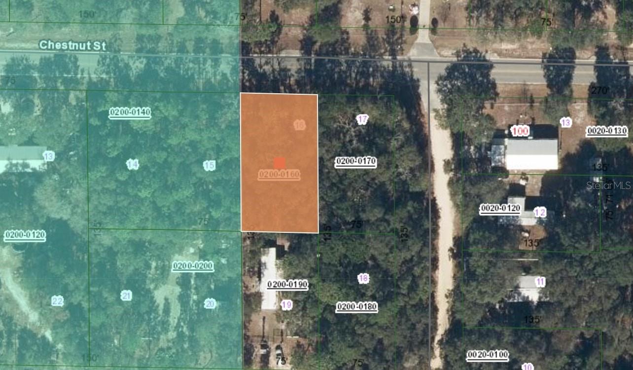 Image 2 of 5 For 113 Chestnut Street