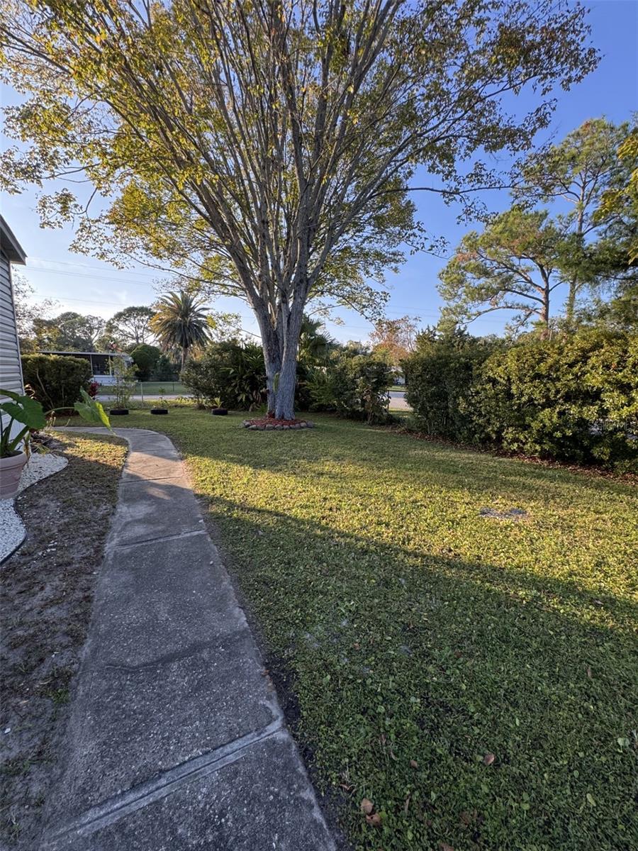 Image 31 of 52 For 1111 Avenue G