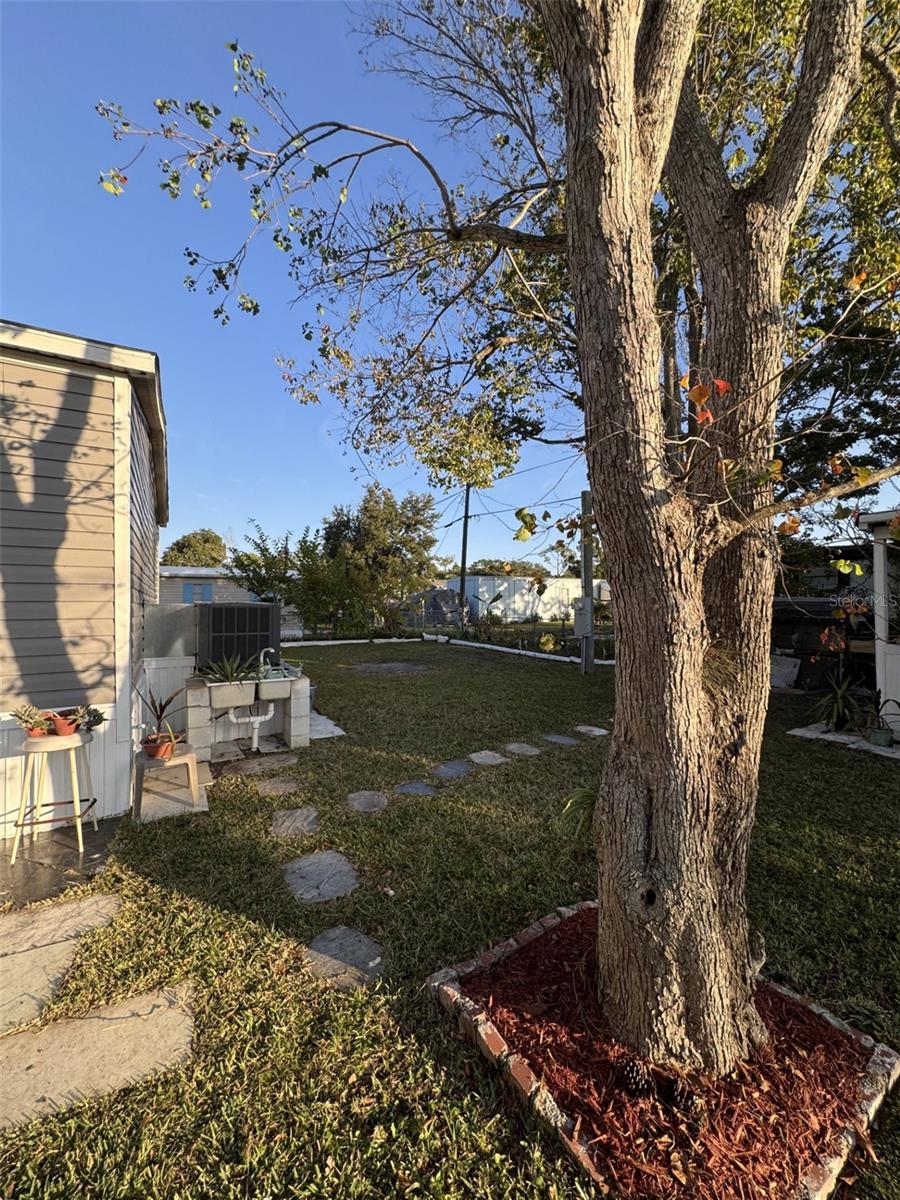 Image 45 of 52 For 1111 Avenue G