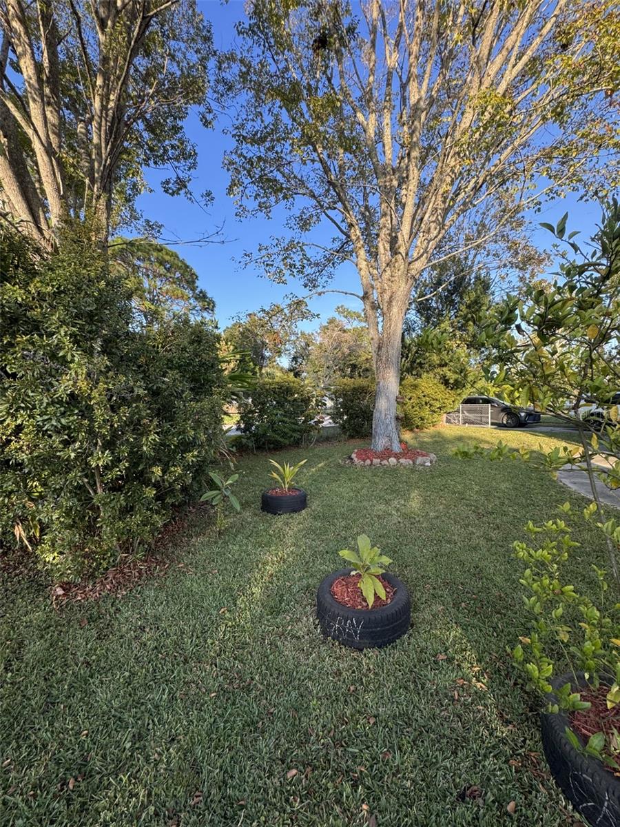 Image 51 of 52 For 1111 Avenue G