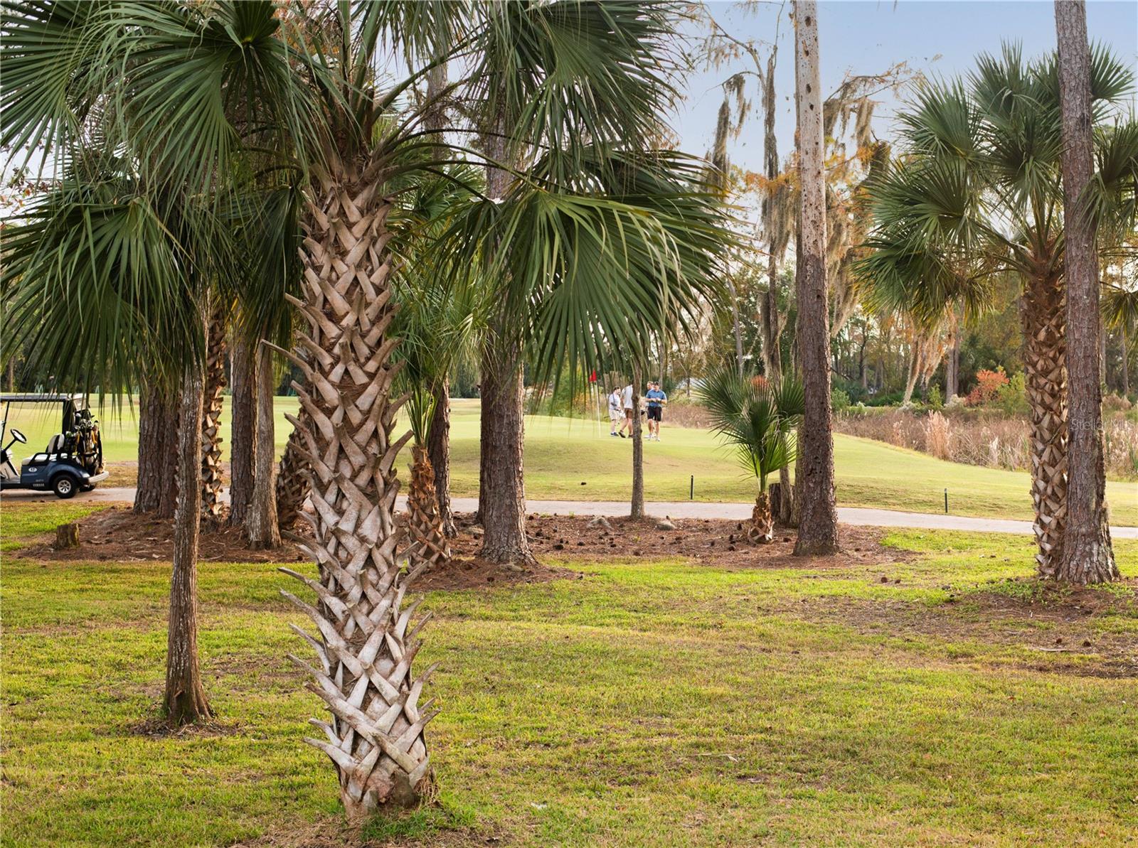 Image 60 of 71 For 340 Wellington Drive