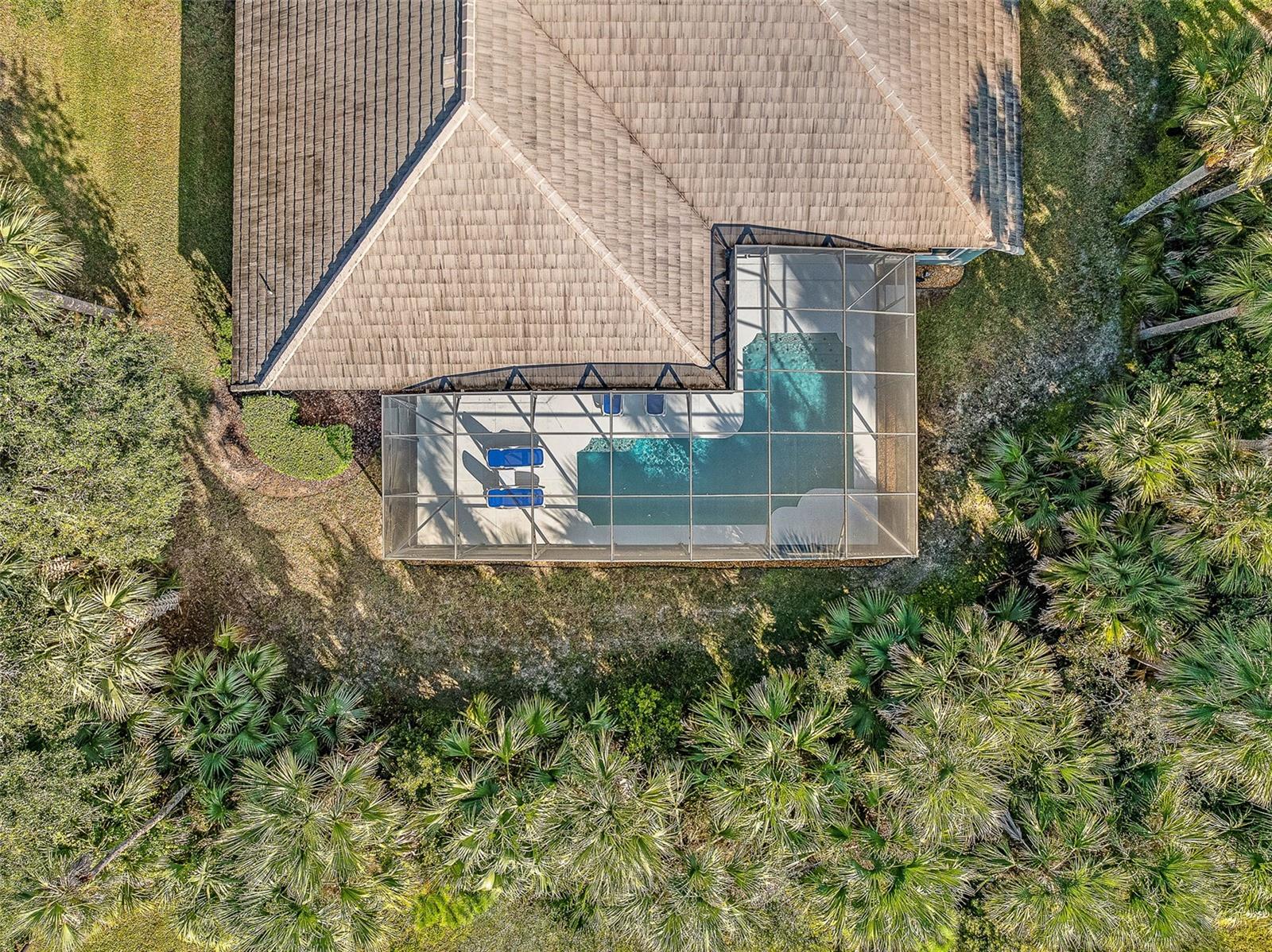 Image 71 of 92 For 2 Humming Bird Circle