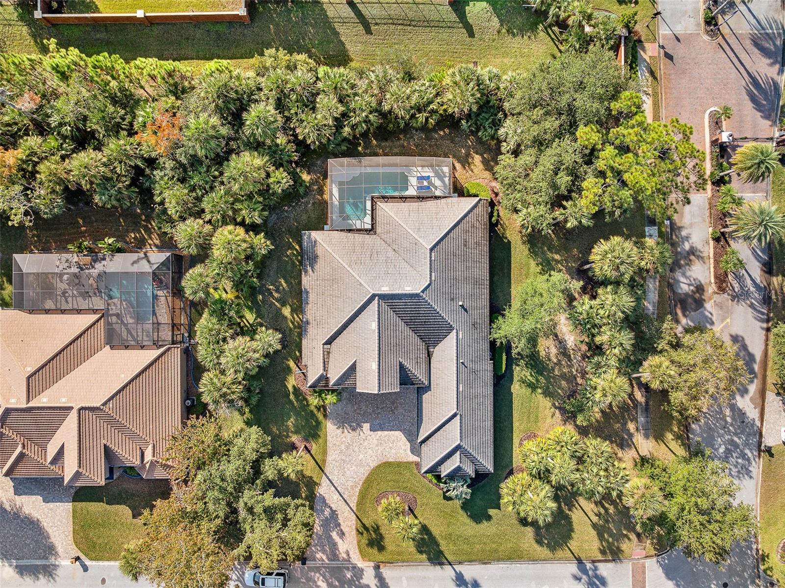 Image 74 of 92 For 2 Humming Bird Circle