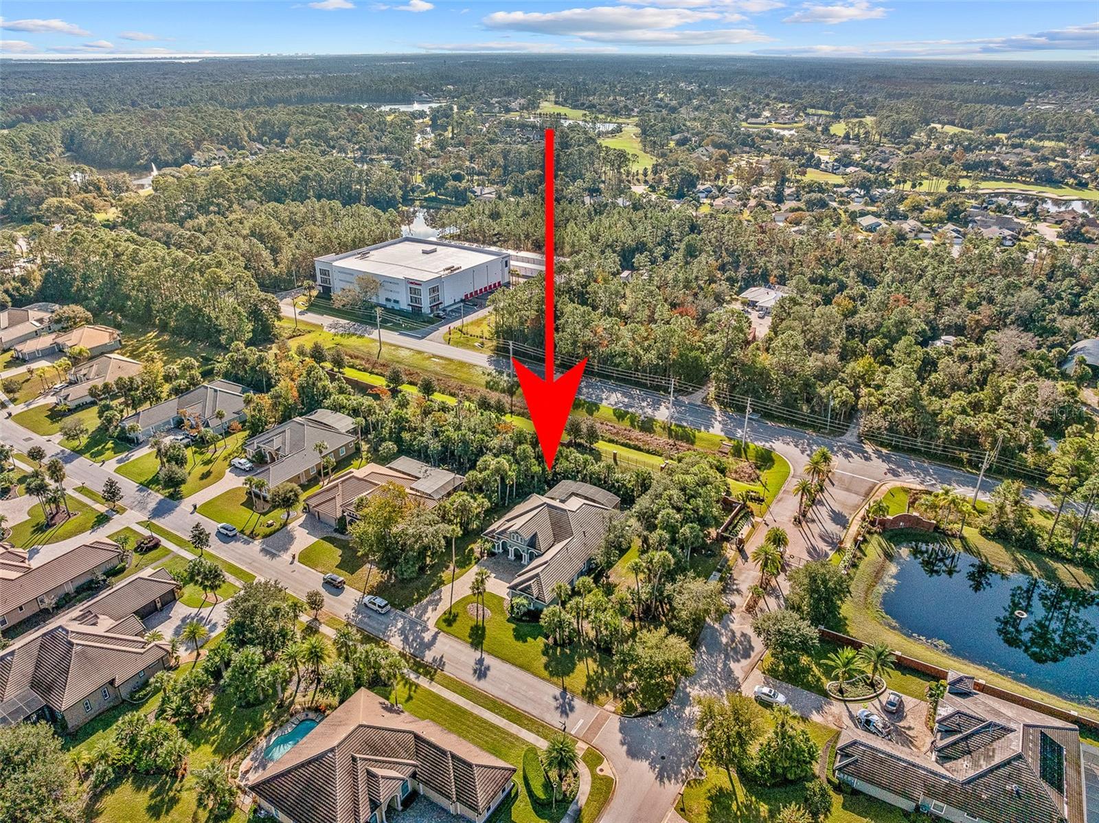 Image 75 of 92 For 2 Humming Bird Circle