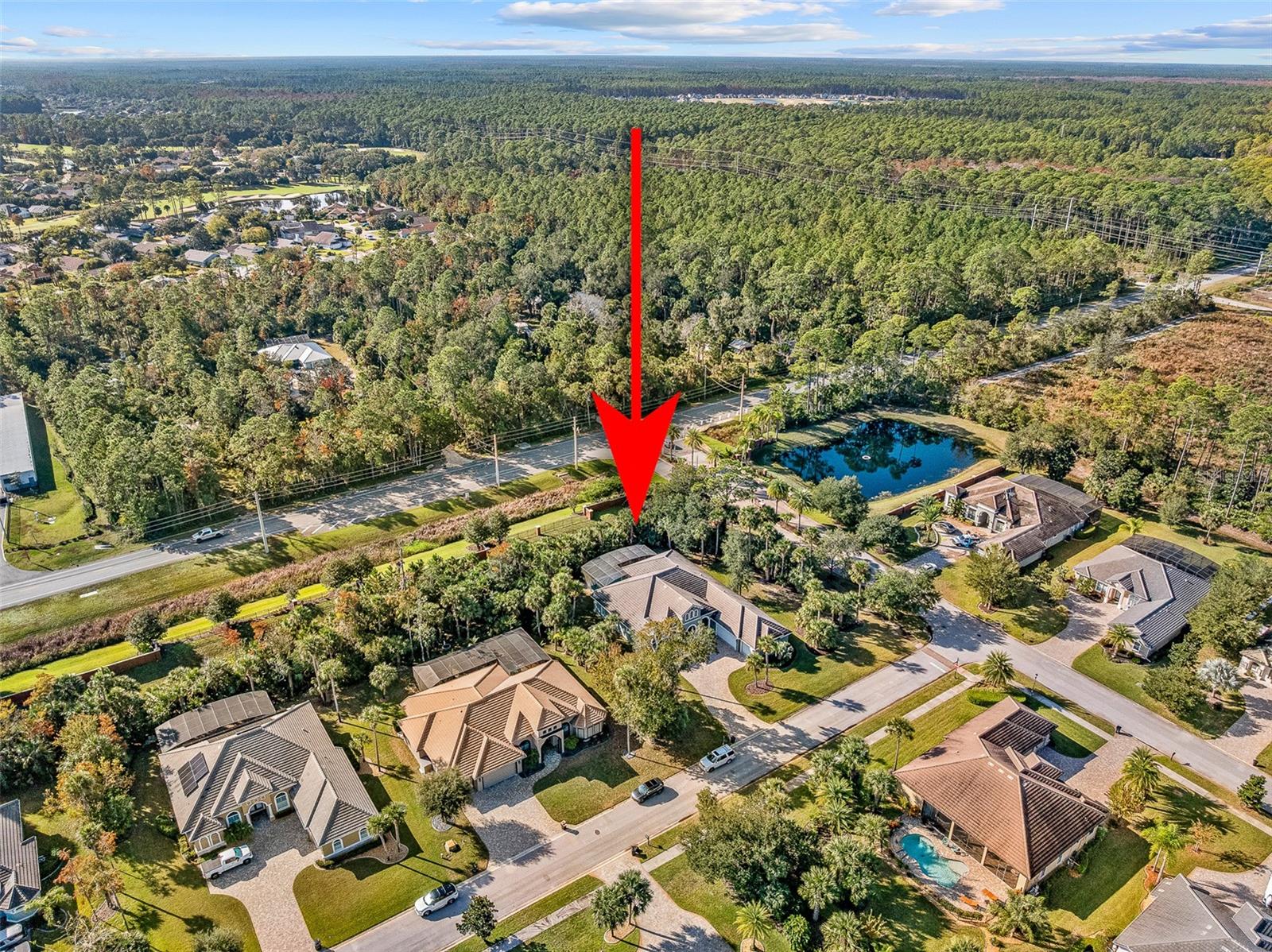 Image 77 of 92 For 2 Humming Bird Circle