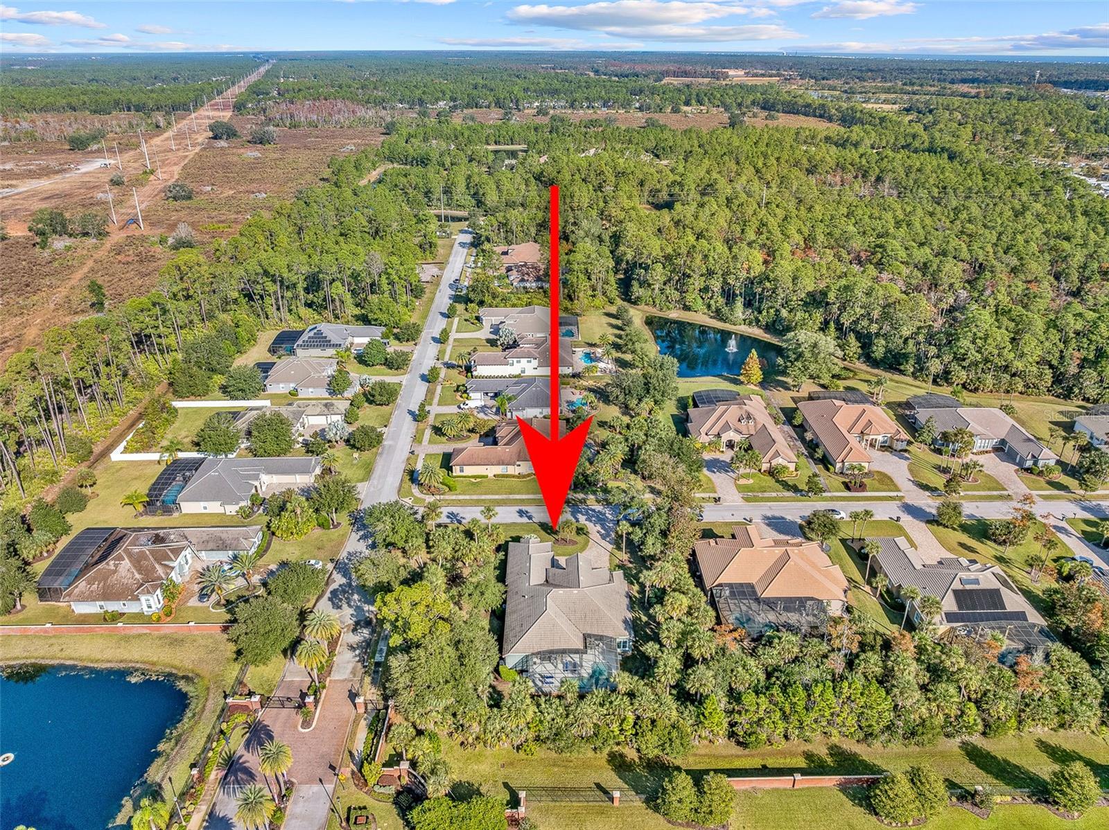 Image 78 of 92 For 2 Humming Bird Circle