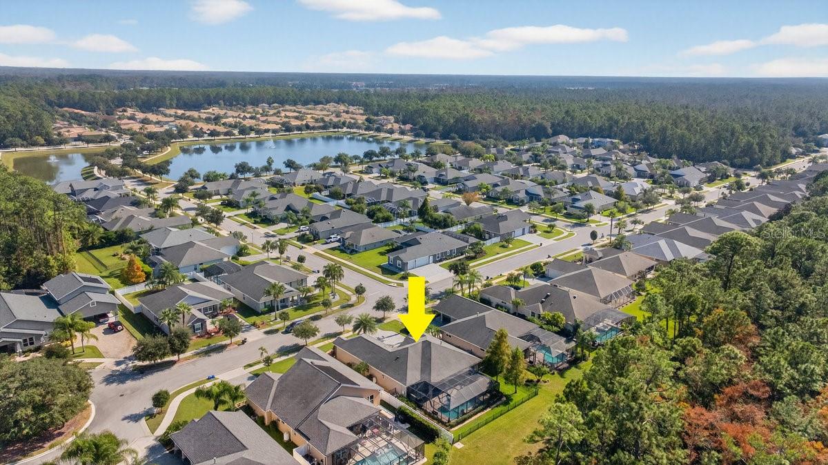 Image 42 of 64 For 384 Leoni Street