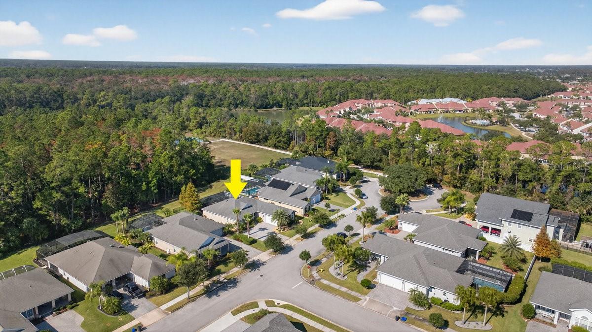 Image 43 of 64 For 384 Leoni Street