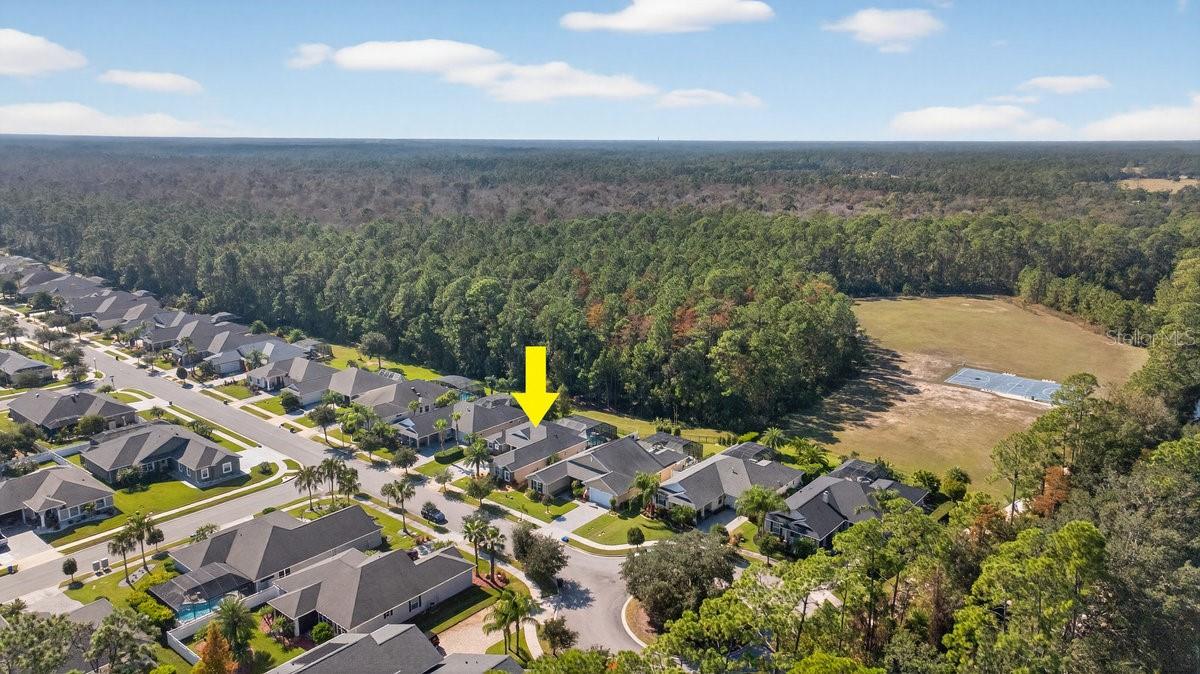 Image 45 of 64 For 384 Leoni Street