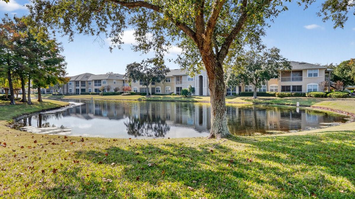 Image 33 of 46 For 830 Airport Road 701