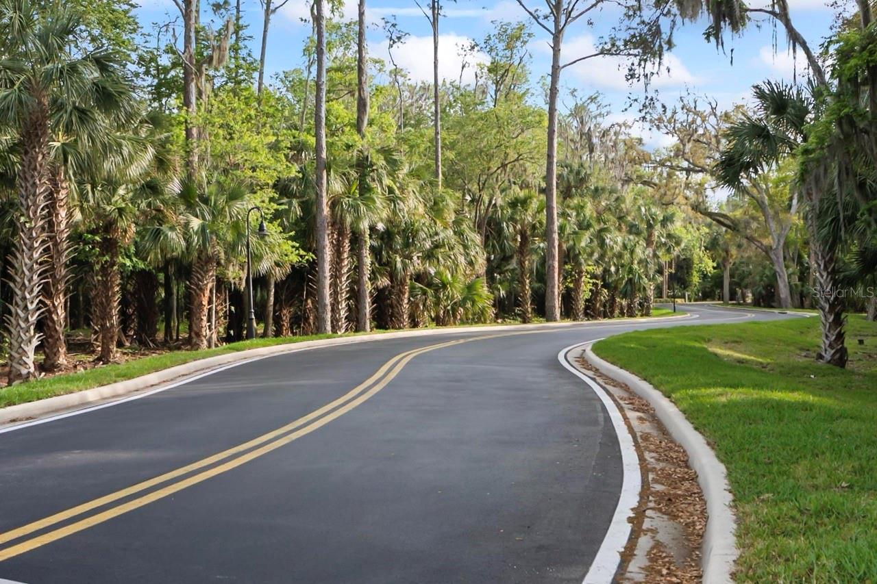 Image 34 of 52 For 100 Canopy Walk Lane 133