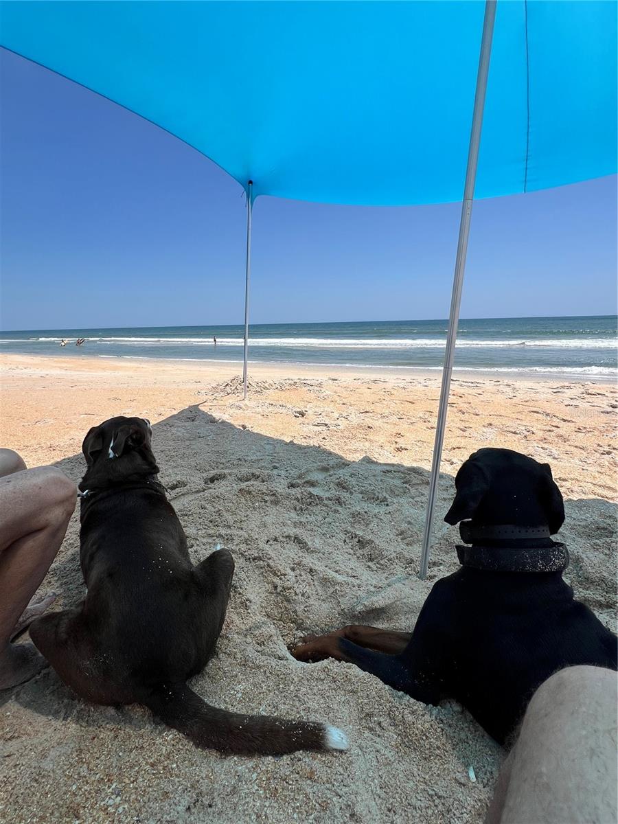 Image 50 of 58 For 12 Moody Drive