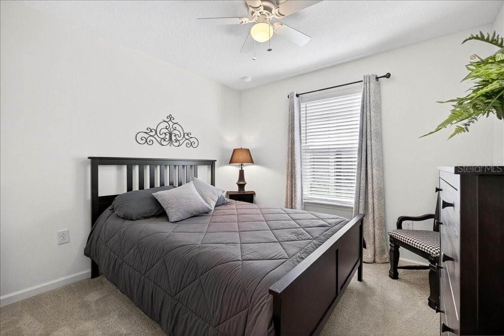 Image 32 of 40 For 7 Windsor Terrace