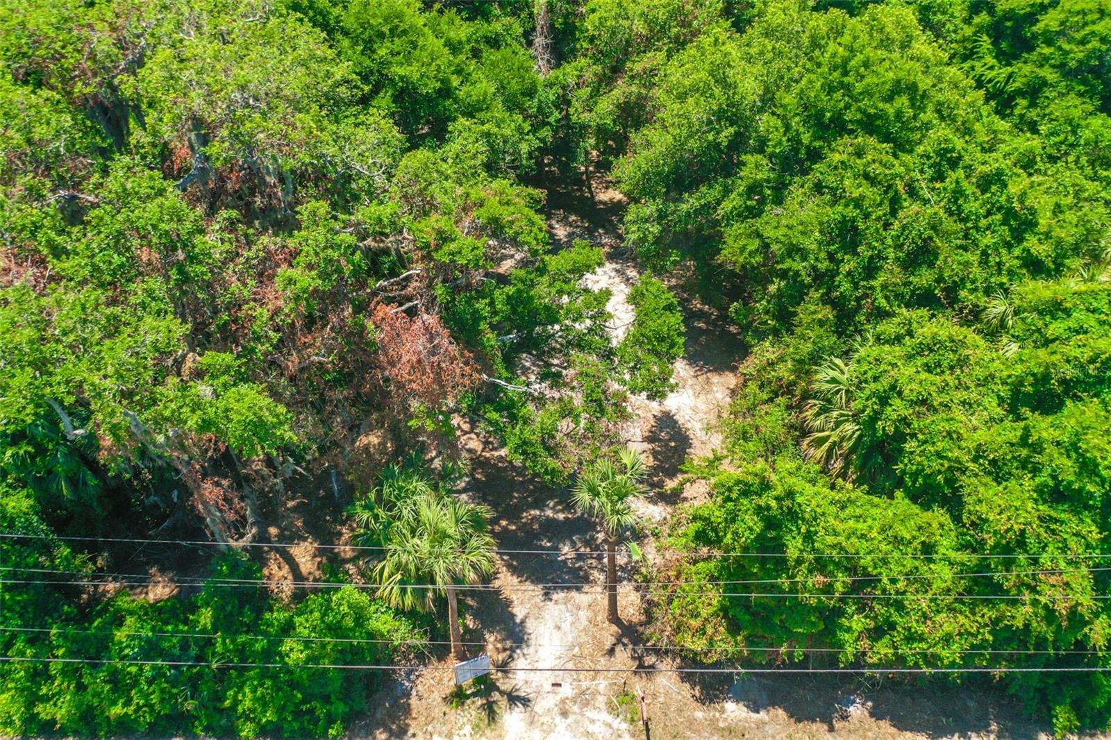 Image 10 of 19 For 4400 Ocean Shore Boulevard