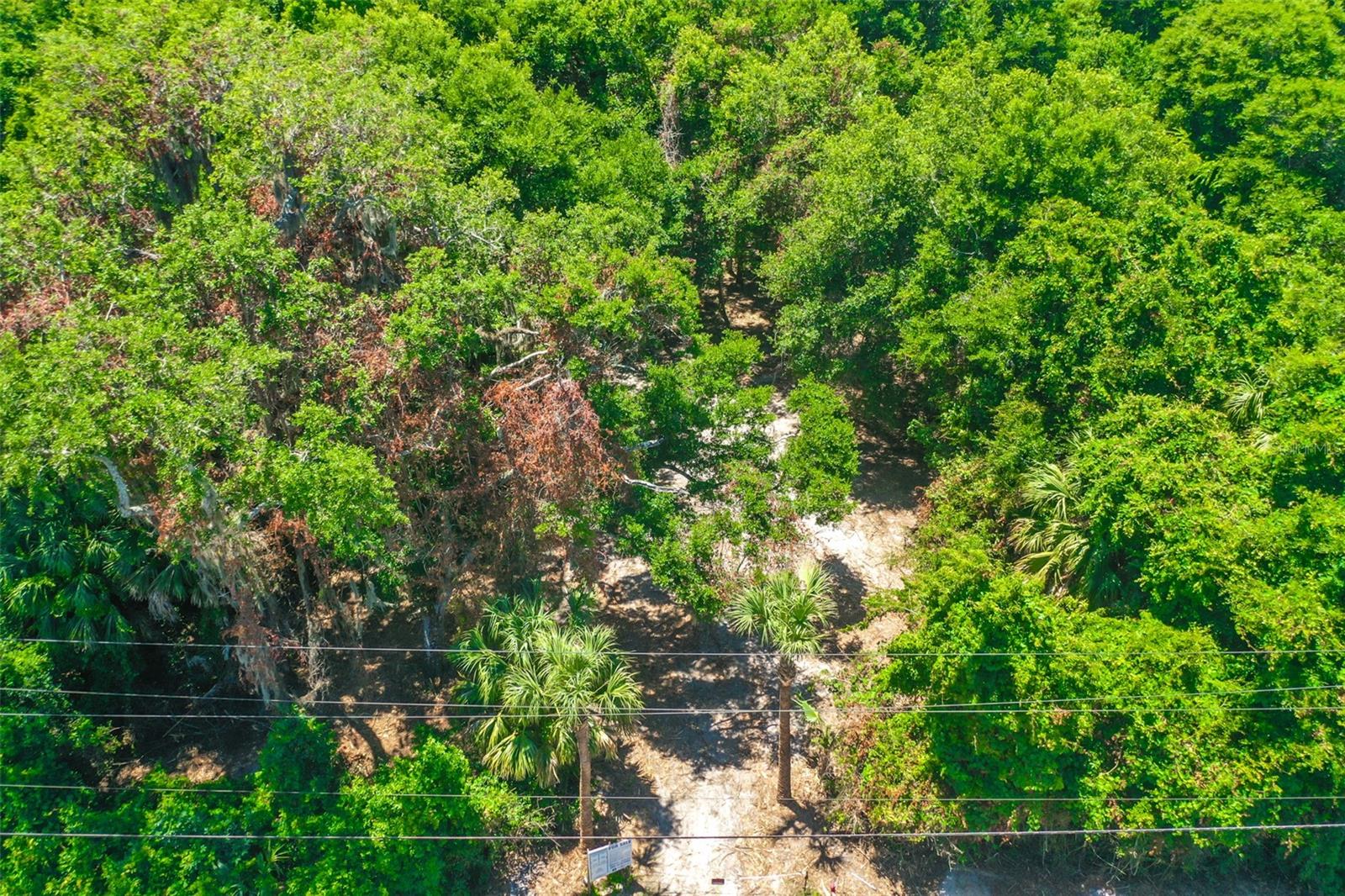 Image 5 of 19 For 4400 Ocean Shore Boulevard