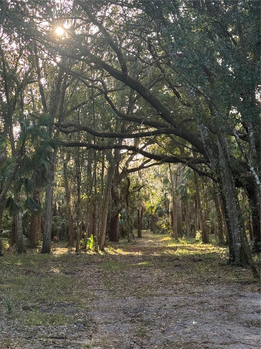 Image 7 of 19 For 4400 Ocean Shore Boulevard