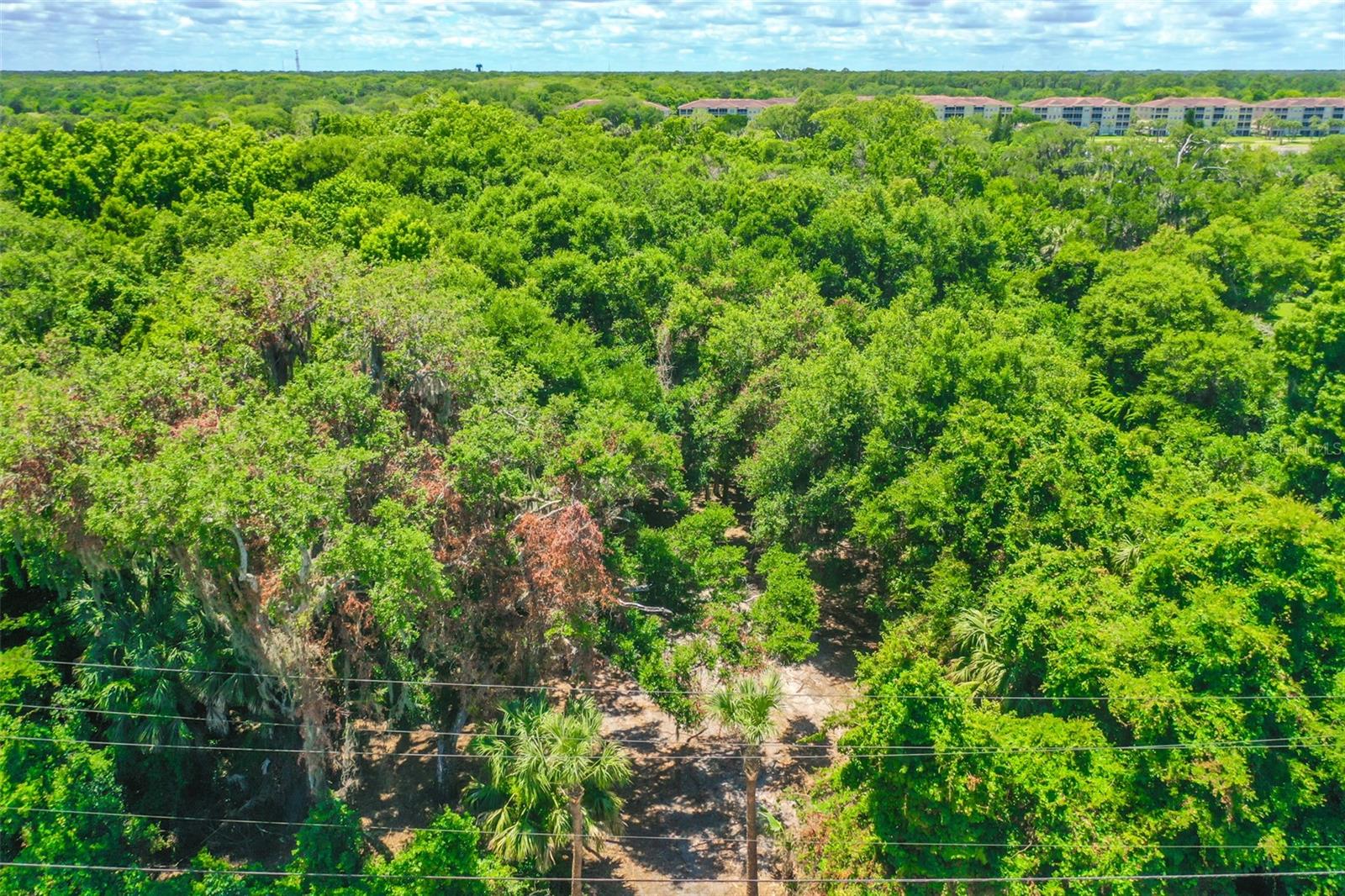 Image 8 of 19 For 4400 Ocean Shore Boulevard
