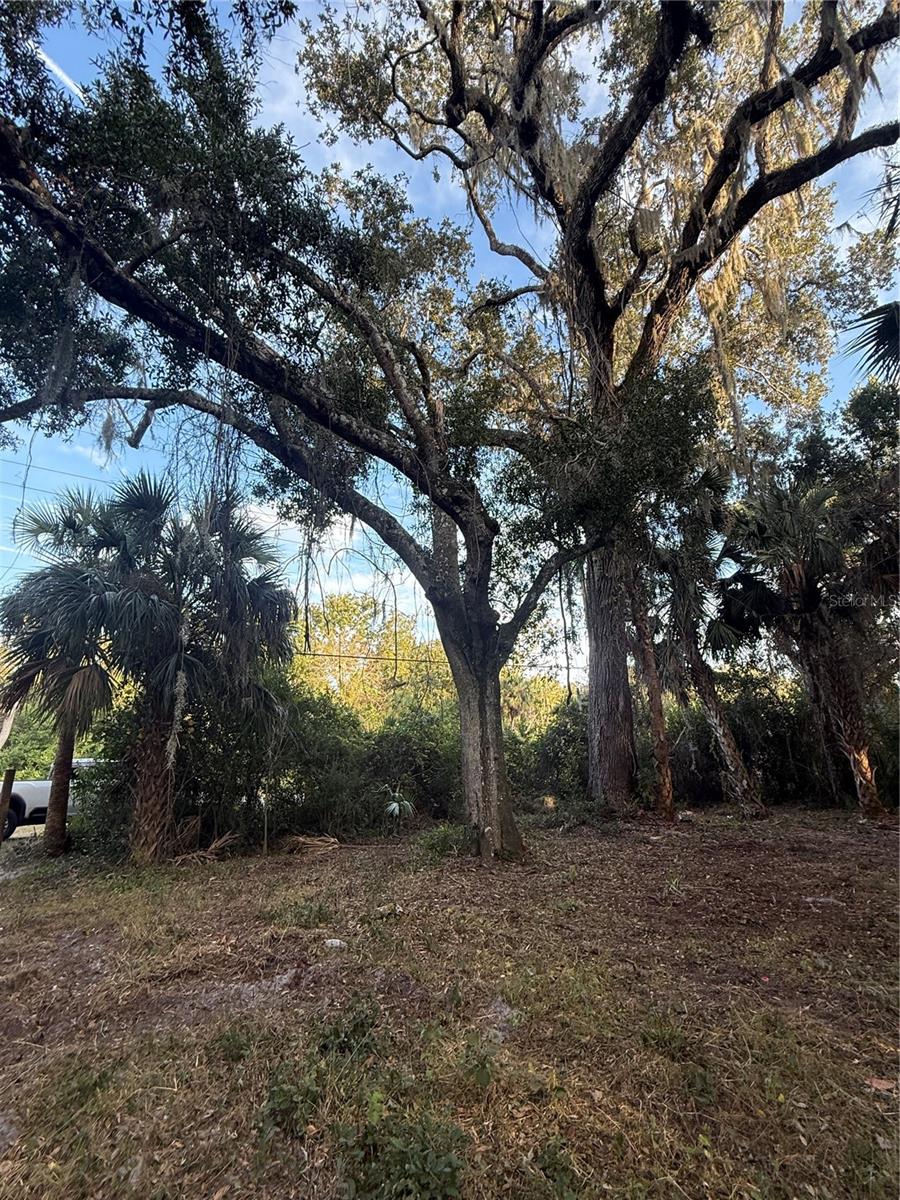 Image 9 of 19 For 4400 Ocean Shore Boulevard