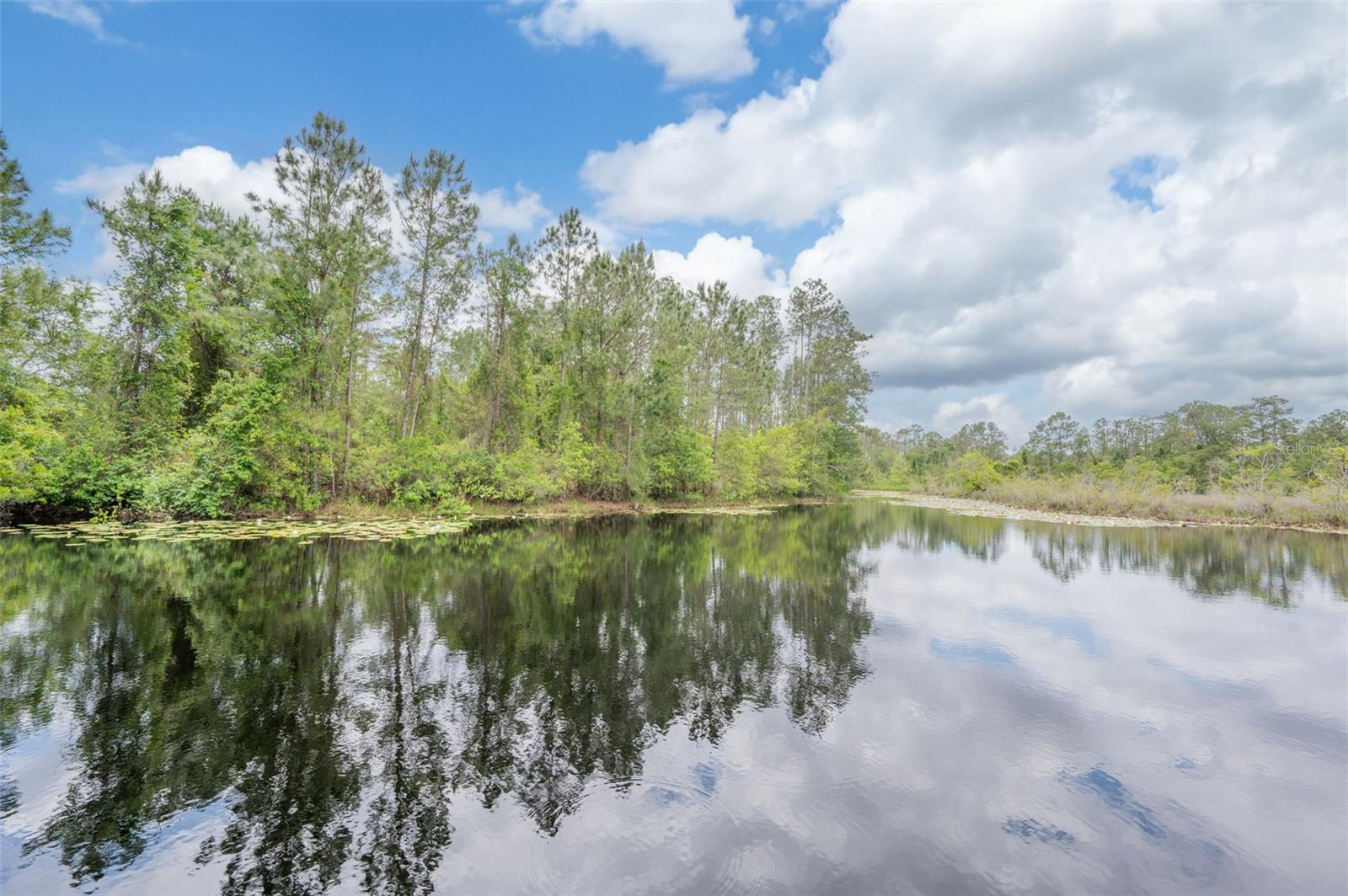 Image 49 of 74 For 133 Seminole Trail