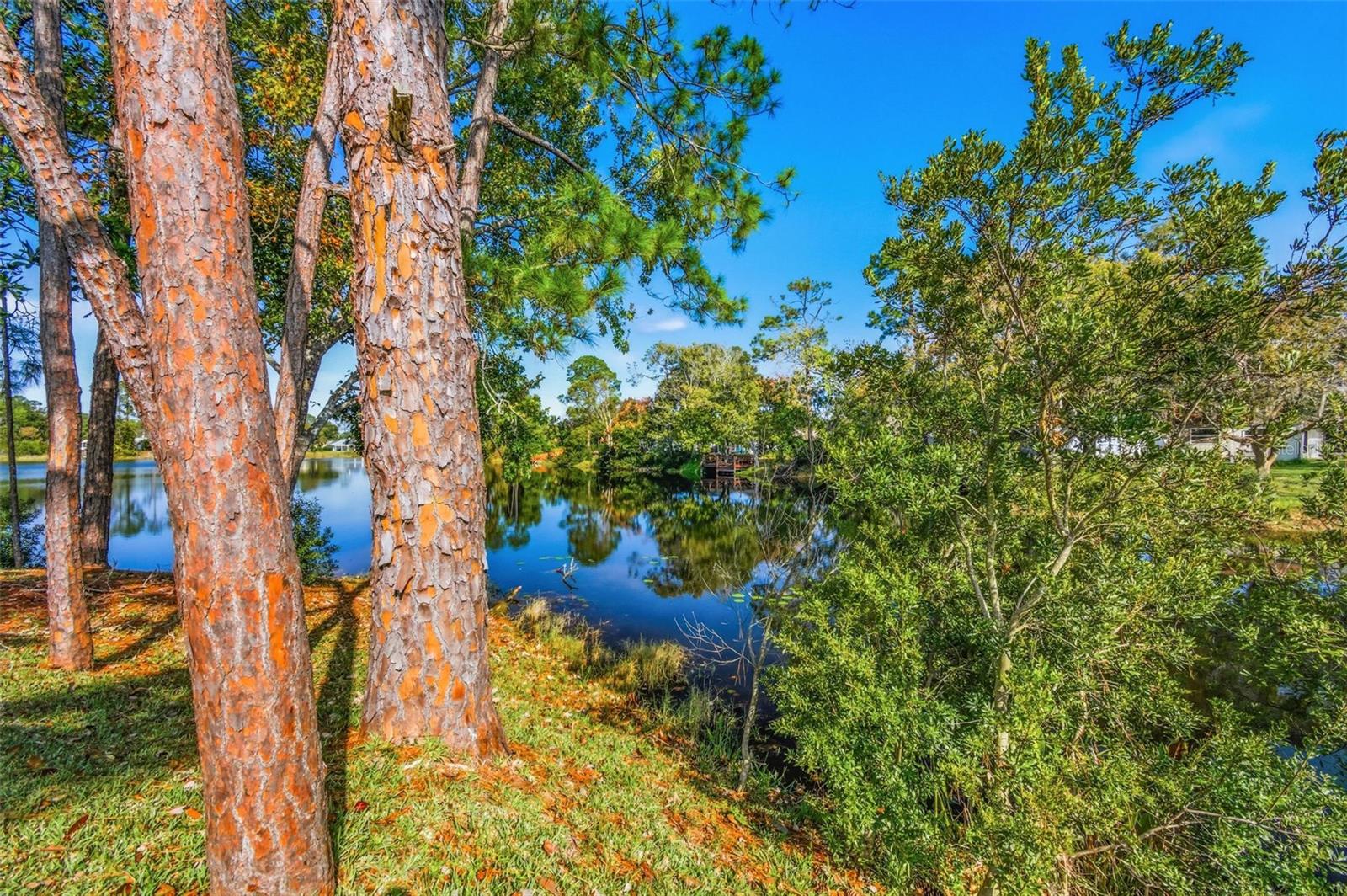 Image 37 of 39 For 32 Kings Colony Court