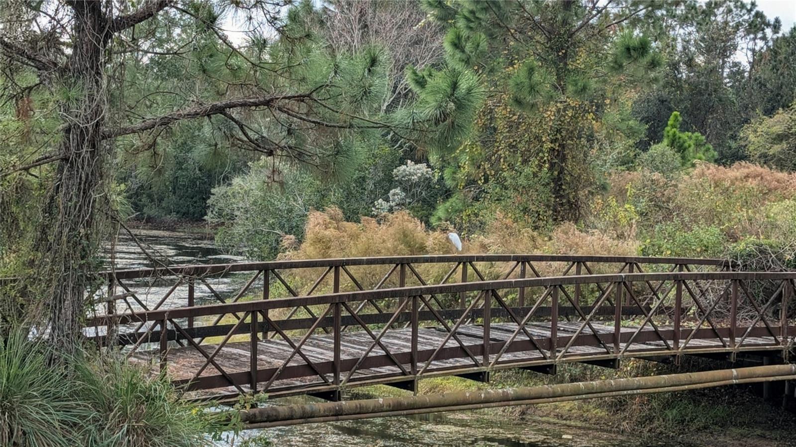 Image 39 of 39 For 214 London Drive