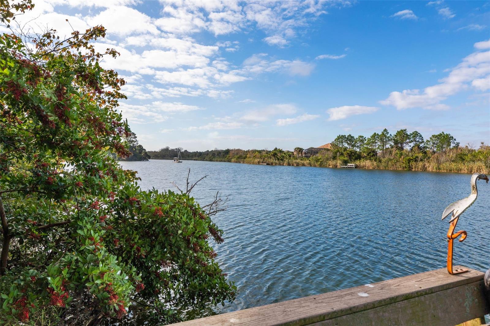 Image 45 of 98 For 10 Heron Drive