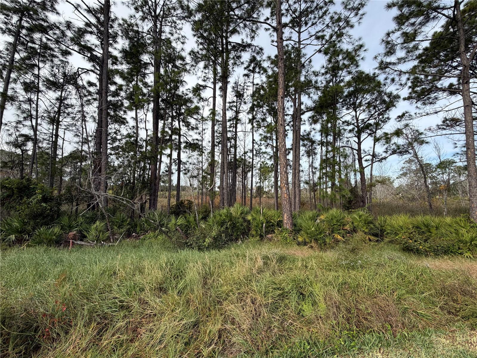 Image 34 of 34 For 31 Perseus Avenue