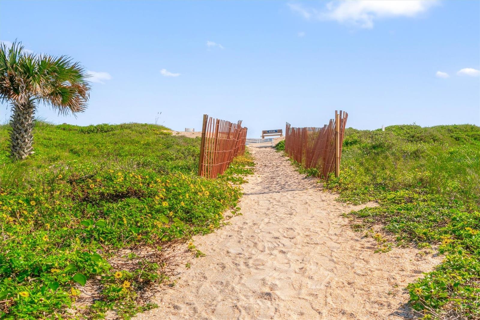 Image 46 of 72 For 56 Ocean Street