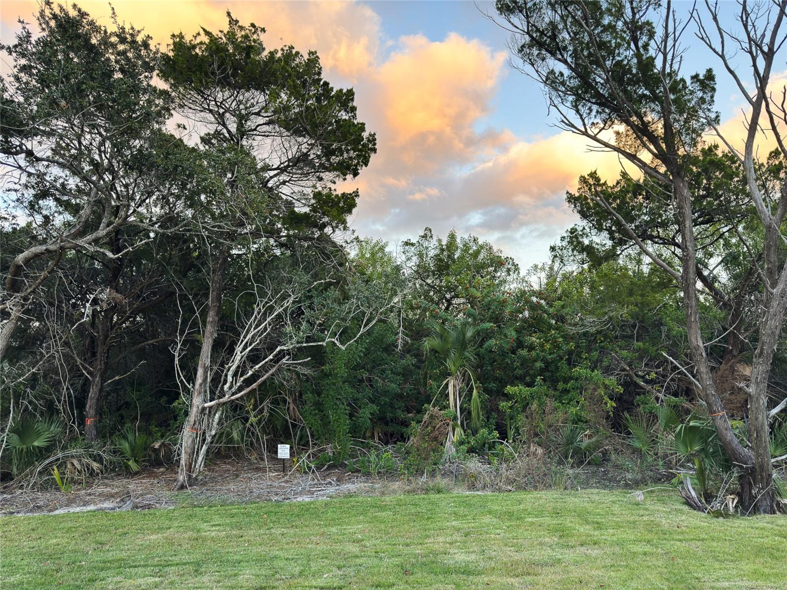 Image 63 of 65 For 2549 Palm Avenue