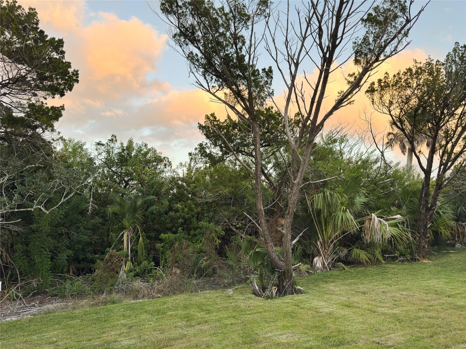 Image 64 of 65 For 2549 Palm Avenue