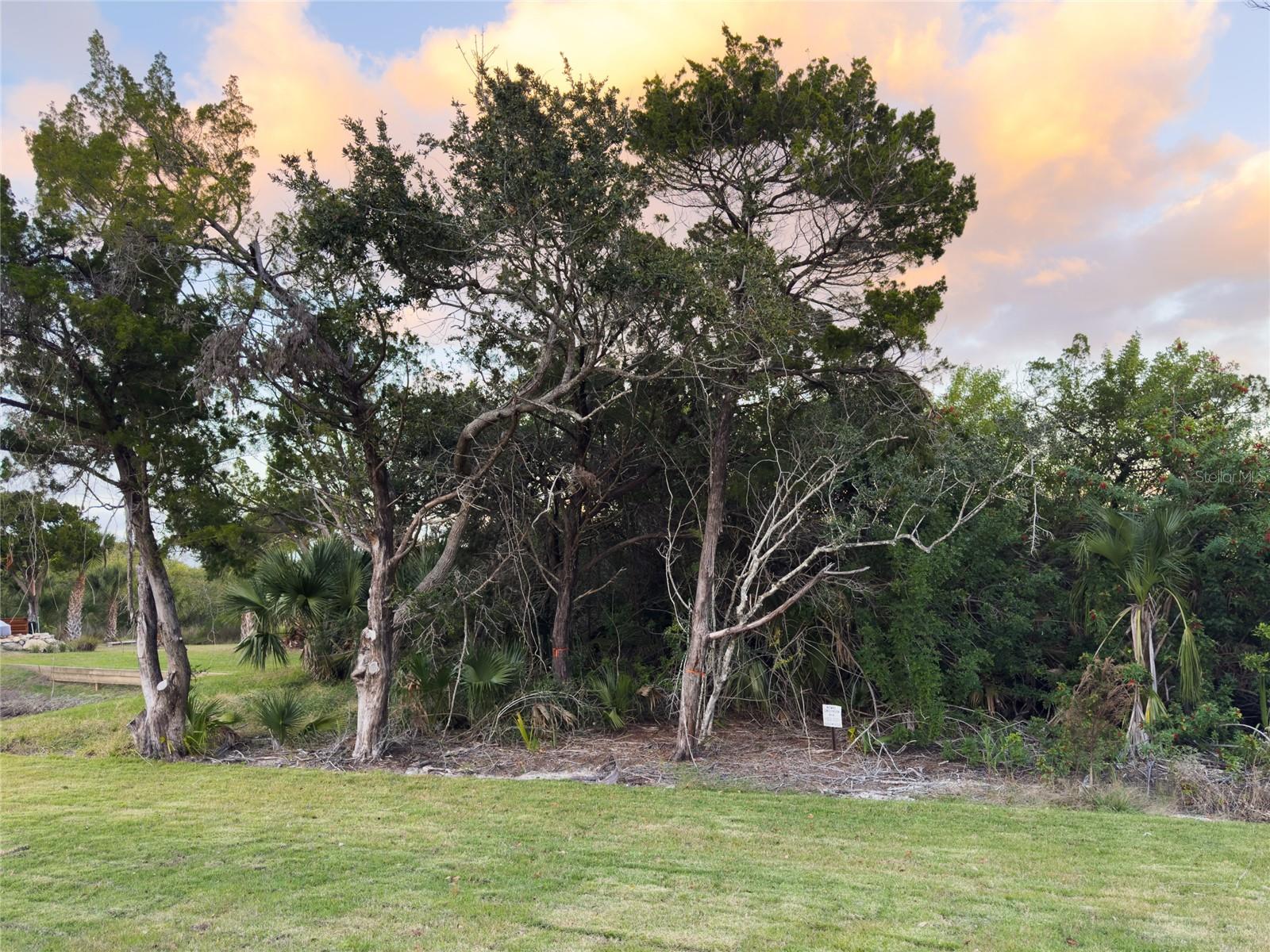 Image 65 of 65 For 2549 Palm Avenue