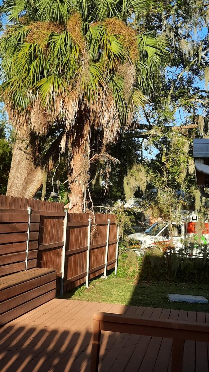 Image 14 of 41 For 1333 Bender Avenue