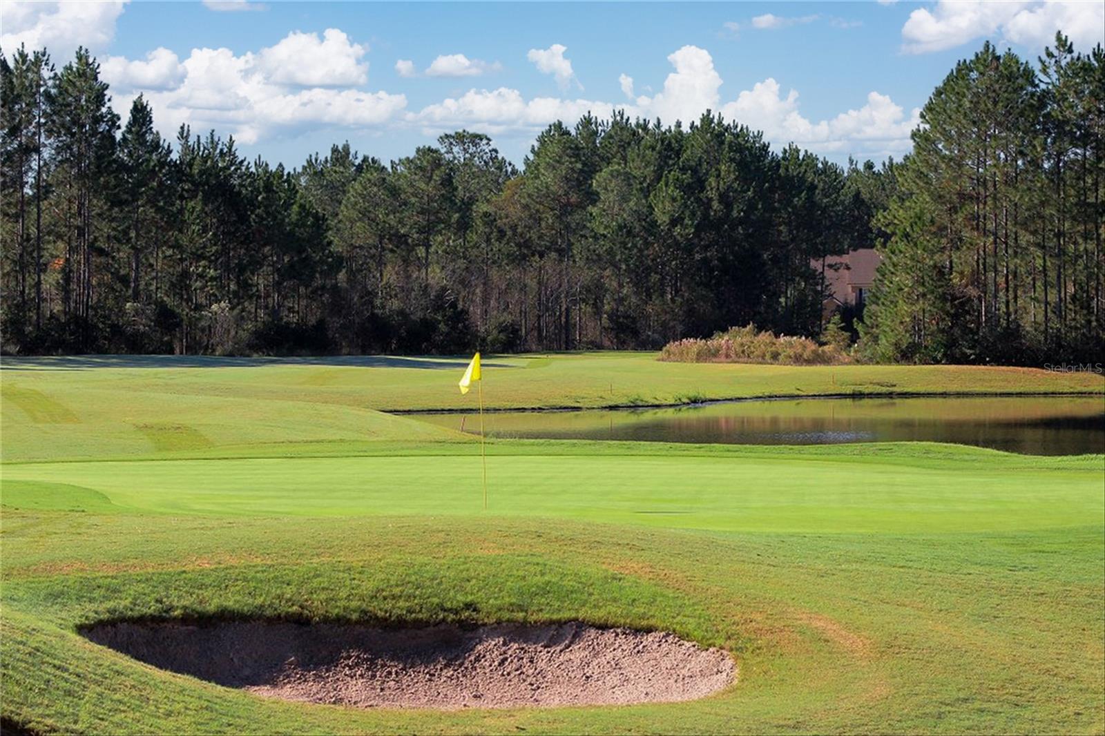 Image 76 of 76 For 4377 Castle Oak Court