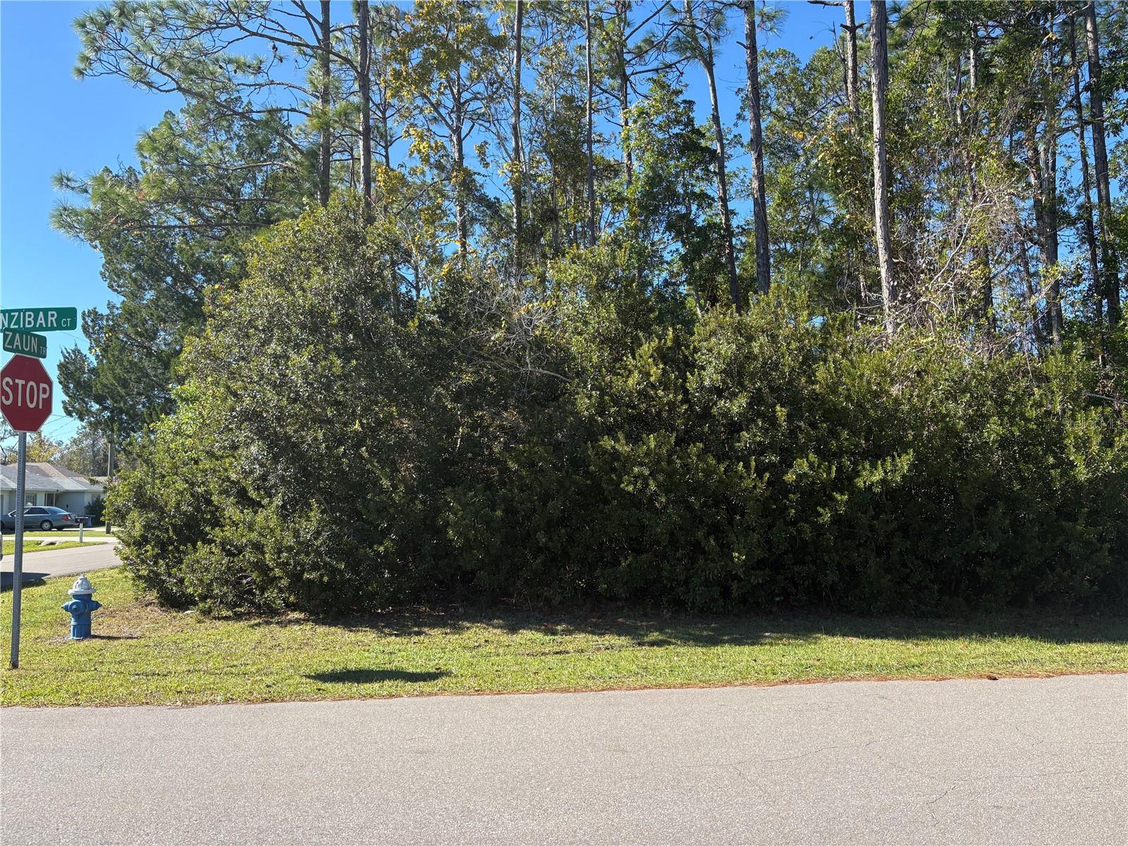 Image 4 of 8 For 1 Zanzibar Court