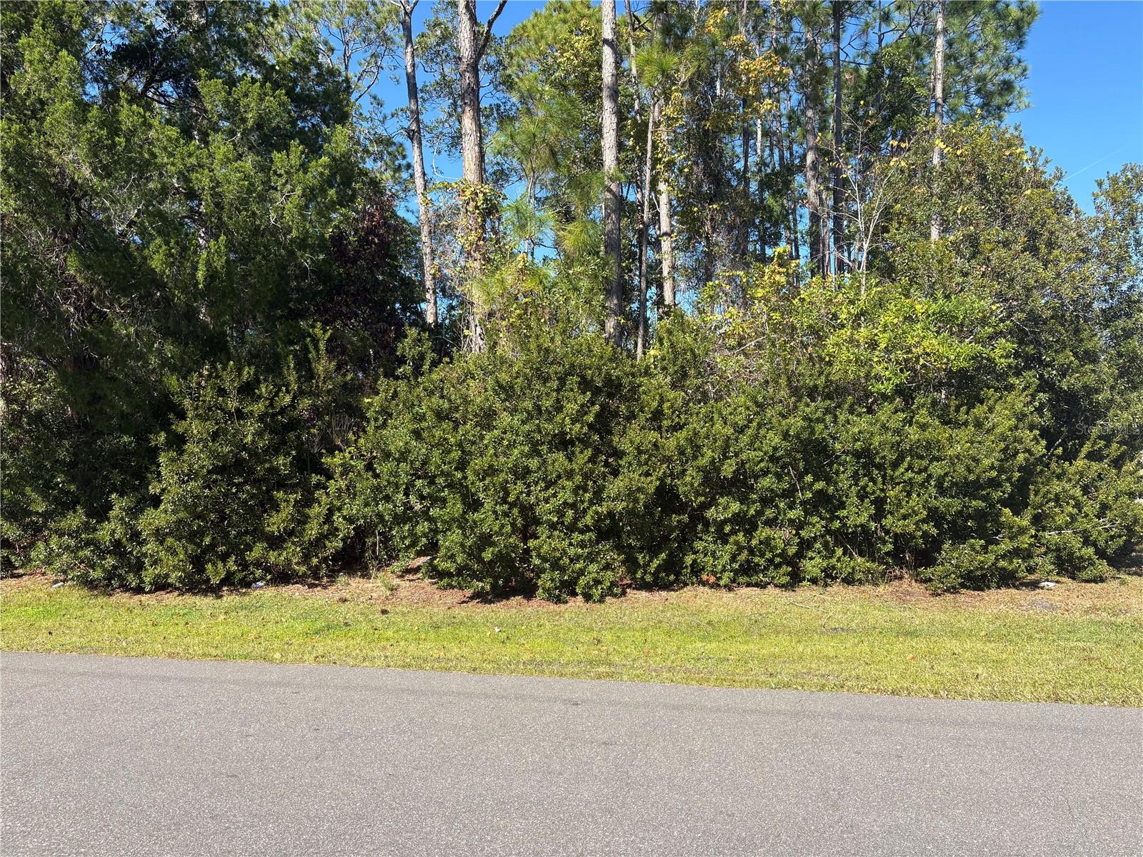 Image 6 of 8 For 1 Zanzibar Court