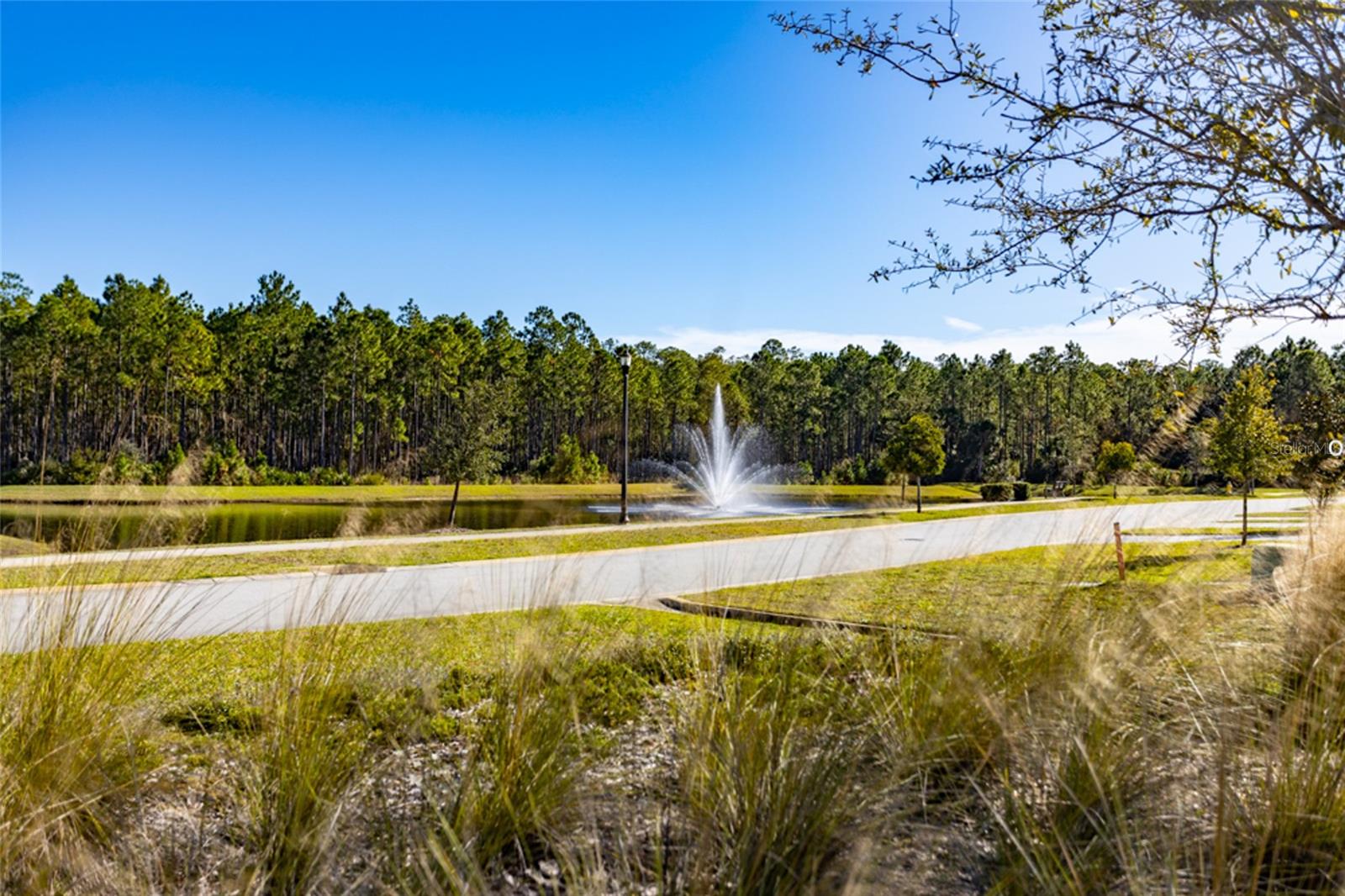 Image 26 of 47 For 3 Newhaven Lane