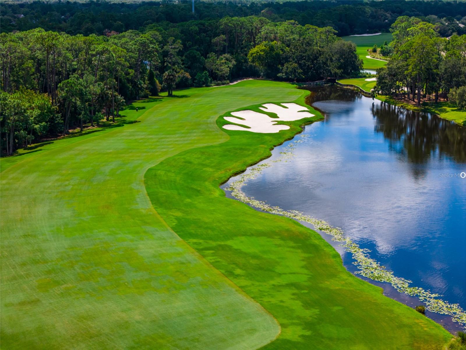 Image 46 of 47 For 3 Newhaven Lane