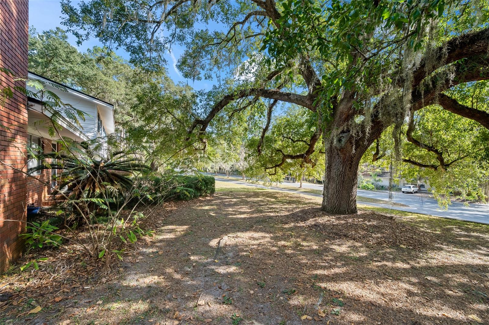 Image 5 of 39 For 2238 16th Avenue