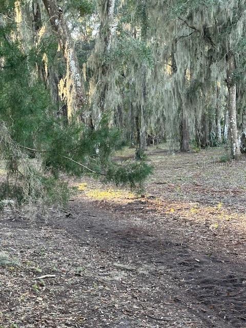 Image 16 of 51 For 374 Sisco Road