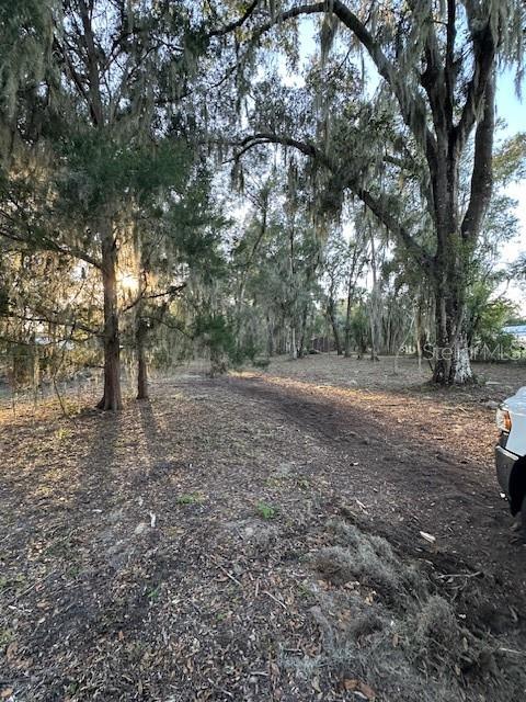 Image 18 of 51 For 374 Sisco Road