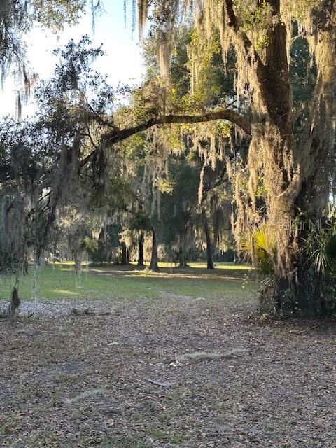 Image 22 of 51 For 374 Sisco Road