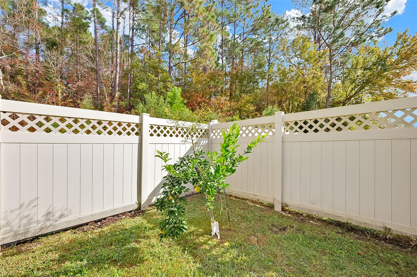 Image 36 of 40 For 3204 Carlotta Road