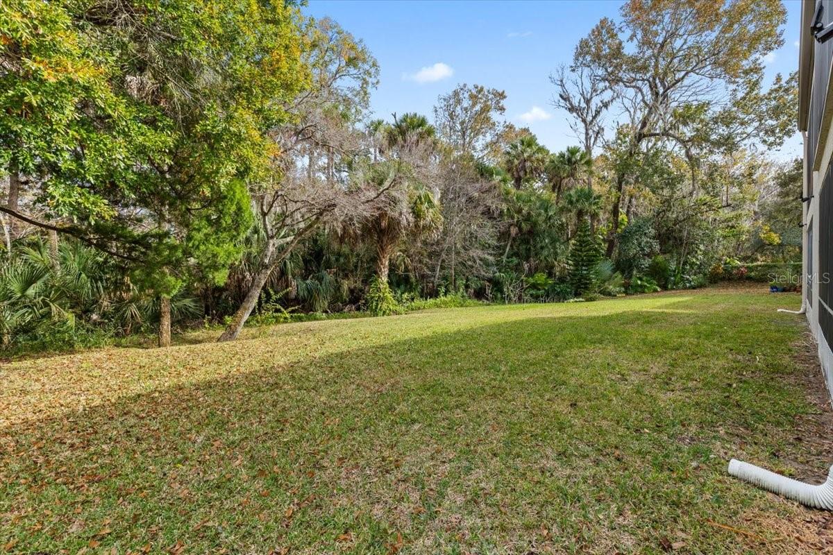 Image 35 of 67 For 203 Orchard Street 8a