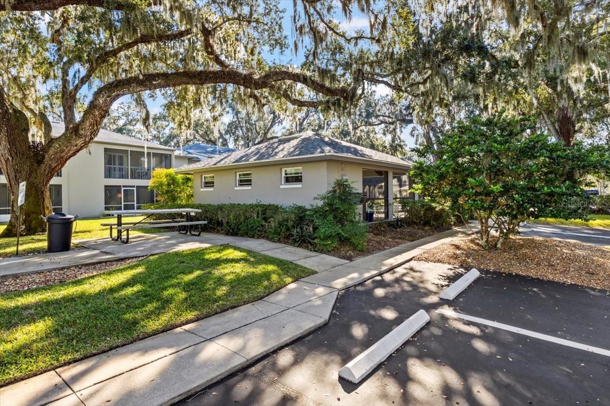 Image 43 of 67 For 203 Orchard Street 8a