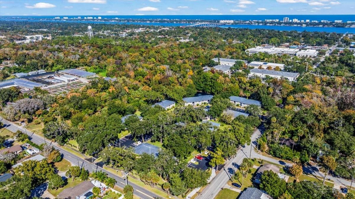 Image 56 of 67 For 203 Orchard Street 8a