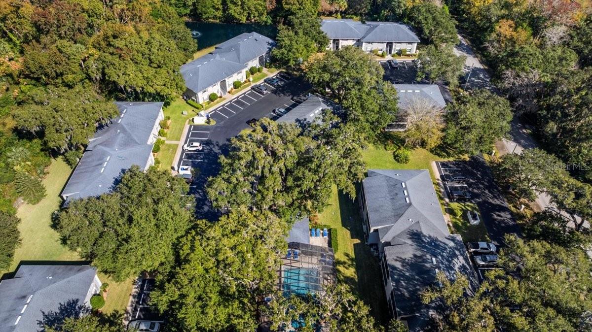 Image 59 of 67 For 203 Orchard Street 8a