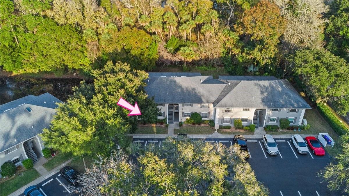 Image 60 of 67 For 203 Orchard Street 8a