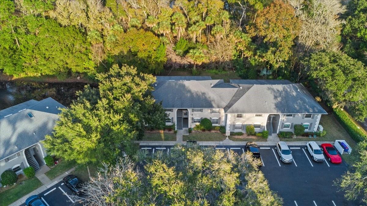 Image 61 of 67 For 203 Orchard Street 8a