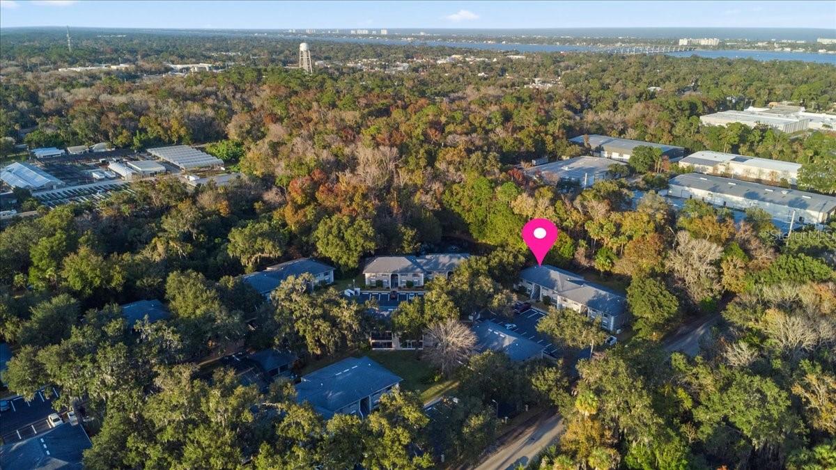 Image 62 of 67 For 203 Orchard Street 8a