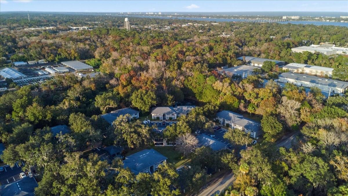 Image 63 of 67 For 203 Orchard Street 8a